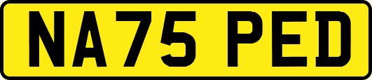 NA75PED