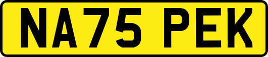 NA75PEK