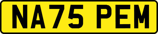 NA75PEM