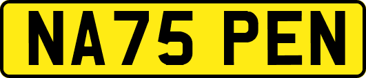 NA75PEN
