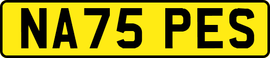 NA75PES