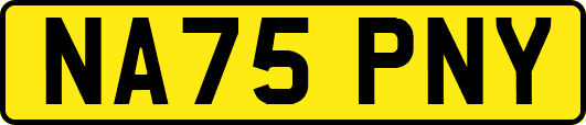 NA75PNY