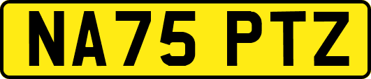 NA75PTZ