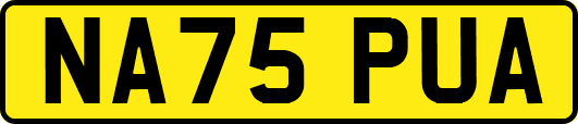 NA75PUA