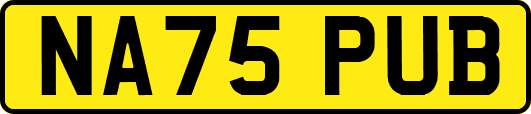 NA75PUB