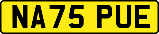 NA75PUE