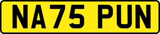 NA75PUN