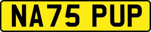 NA75PUP