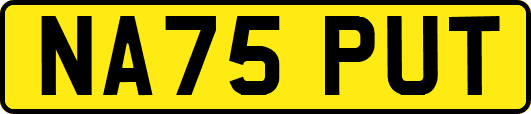 NA75PUT