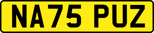 NA75PUZ