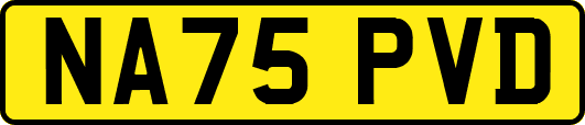 NA75PVD