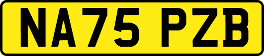 NA75PZB