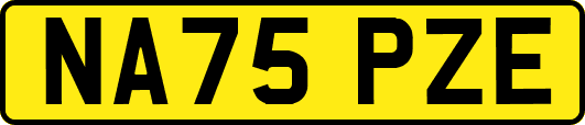 NA75PZE