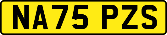NA75PZS