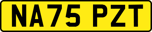 NA75PZT