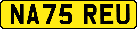 NA75REU