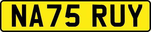 NA75RUY