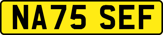 NA75SEF