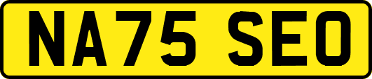 NA75SEO
