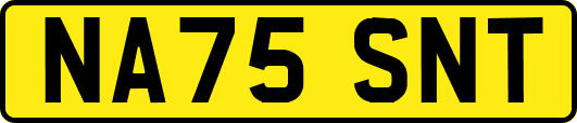 NA75SNT
