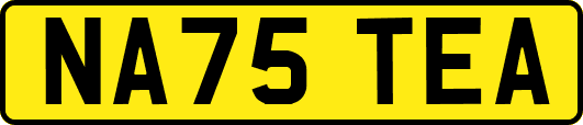 NA75TEA