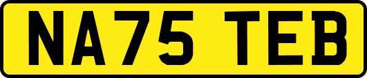 NA75TEB