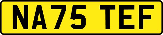 NA75TEF