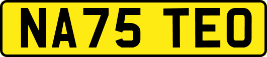 NA75TEO
