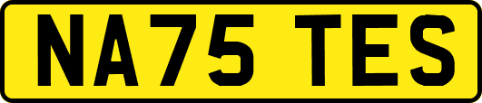 NA75TES
