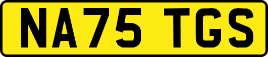 NA75TGS