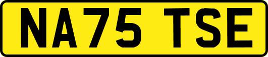 NA75TSE