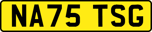 NA75TSG