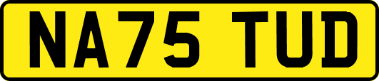 NA75TUD