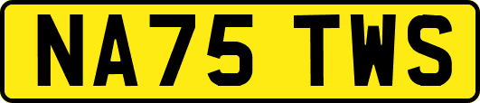 NA75TWS