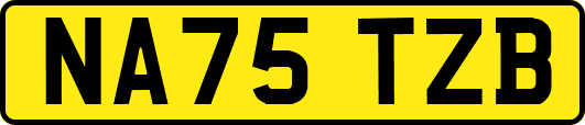 NA75TZB