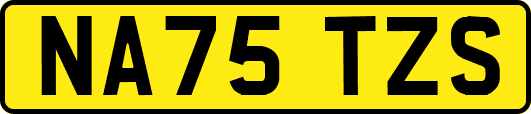 NA75TZS
