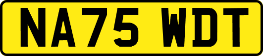 NA75WDT