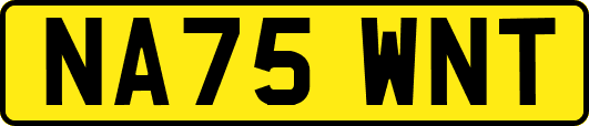 NA75WNT