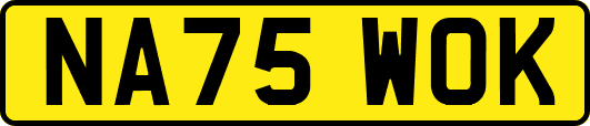 NA75WOK