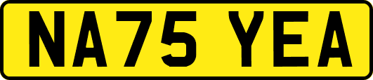 NA75YEA