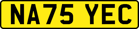 NA75YEC