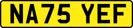 NA75YEF