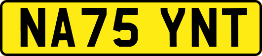 NA75YNT