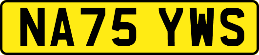 NA75YWS