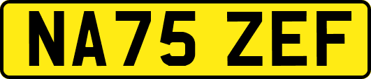 NA75ZEF
