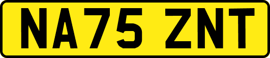 NA75ZNT