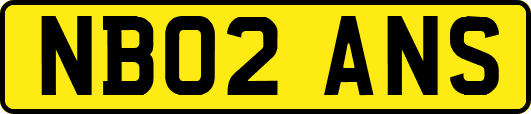 NB02ANS