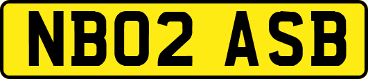 NB02ASB