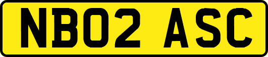 NB02ASC