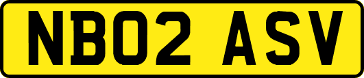NB02ASV